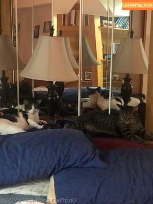 u357850525 photo #0017