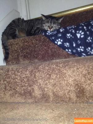 u357850525 photo #0024