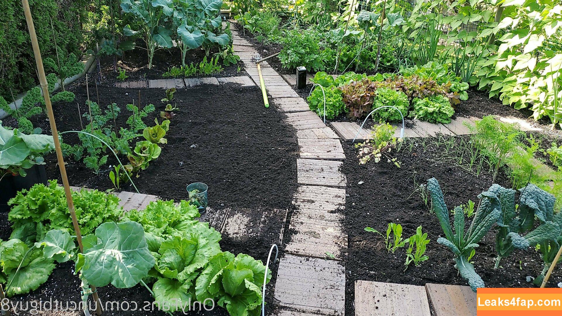 uncut88888 / b00st_lee leaked photo photo #0131