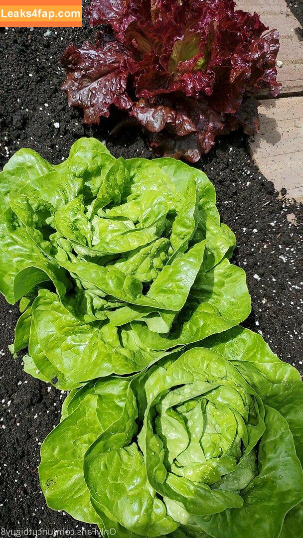 uncut88888 / b00st_lee leaked photo photo #0216