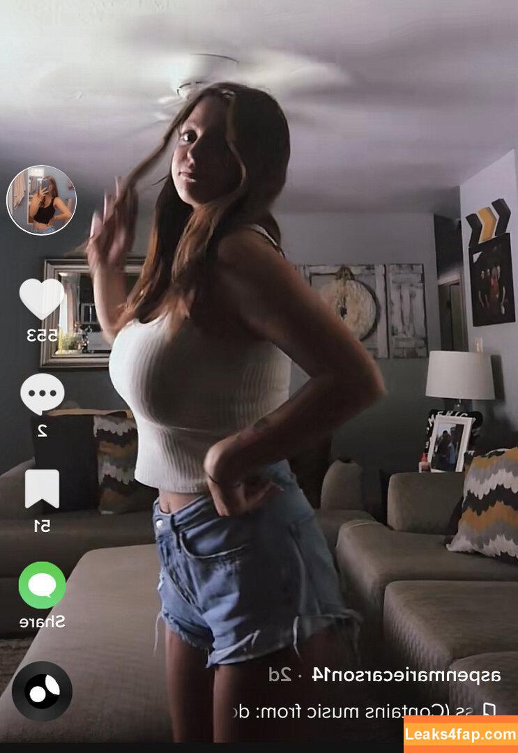 uterusdestroyer / Aspen / aspenco слитое фото фото #0010