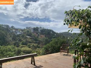 uyuy2907 photo #0883