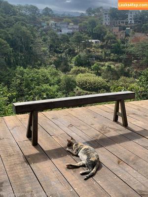 uyuy2907 photo #0884