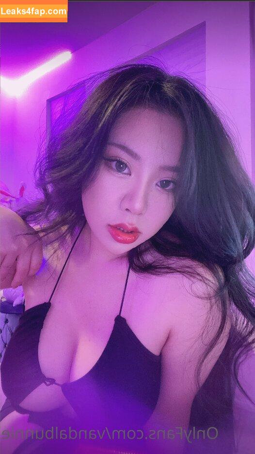 vandalbunnie /  leaked photo photo #0035