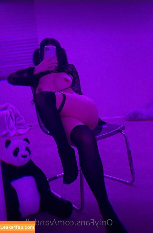 vandalbunnie /  leaked photo photo #0036