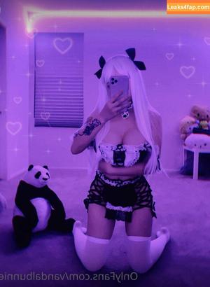 vandalbunnie photo #0062