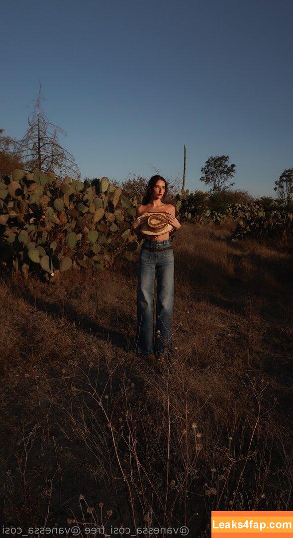 vanessa.cosi_free / vanessa.cosi leaked photo photo #0014