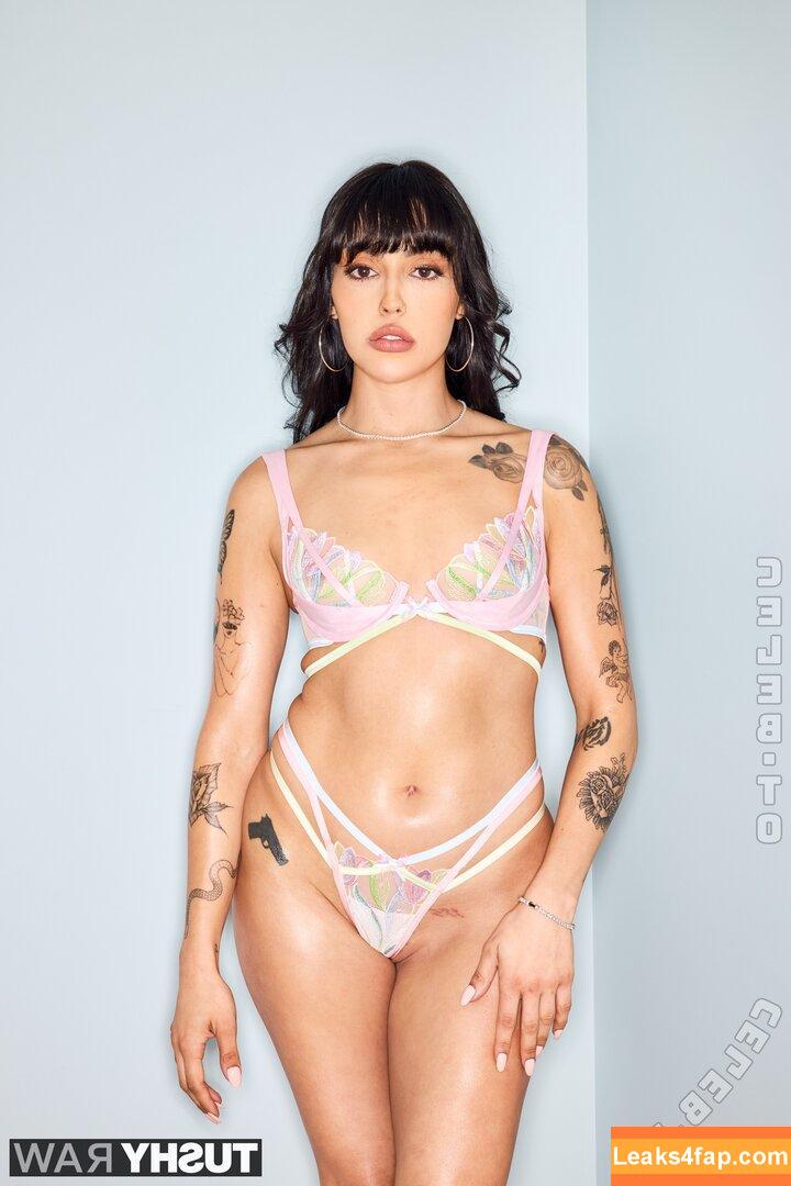 Vanessa Sky / Theluckyslut / theluckyslut_ слитое фото фото #0345