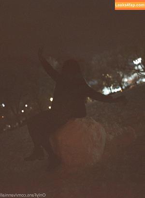 Vanniall photo #0110