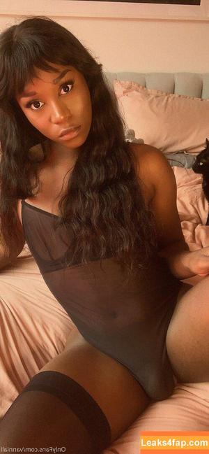 Vanniall photo #0171
