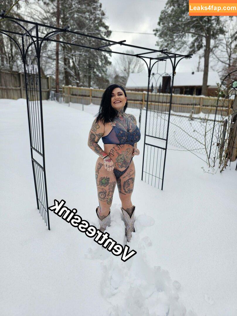 ventressink free leaks