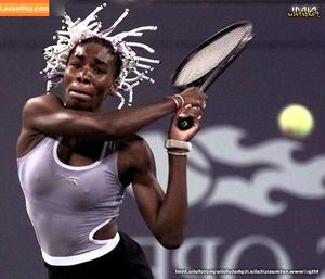 Venus Williams photo #0040