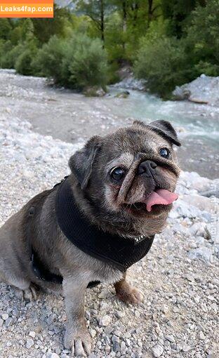 Verena Ullrich / verena / verenaullrich leaked photo photo #0106