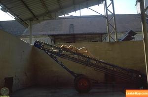 Veronica Zemanova photo #0395