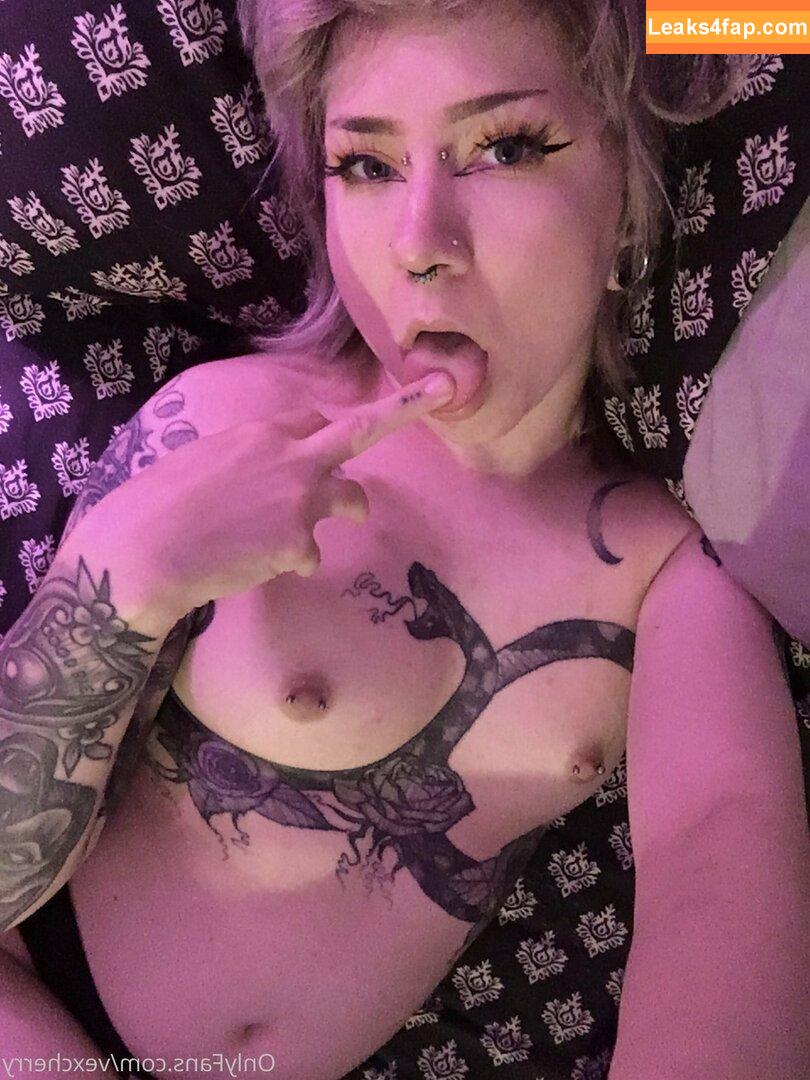 vexcherry / hannys_of_rochester leaked photo photo #0036