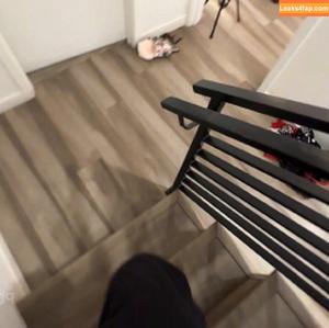 Vince Karter photo #0192