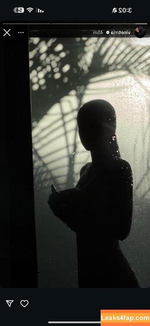 Vinetrria Vinetria фото #0103