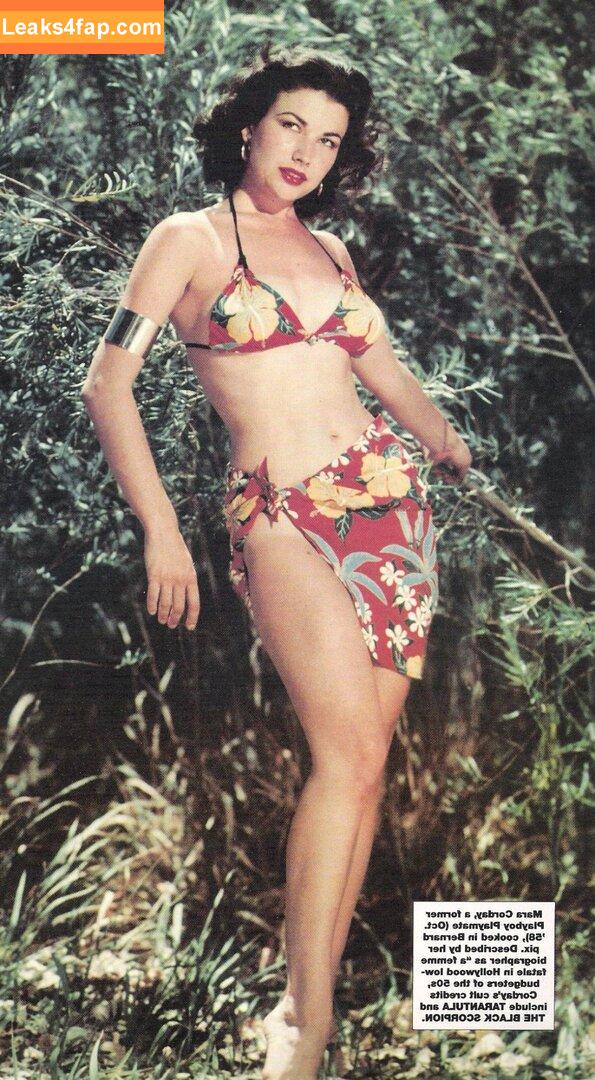 Vintage English Pinups / pinup_vintage_gallery leaked photo photo #0113