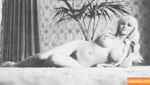 Vintage English Pinups photo #0187