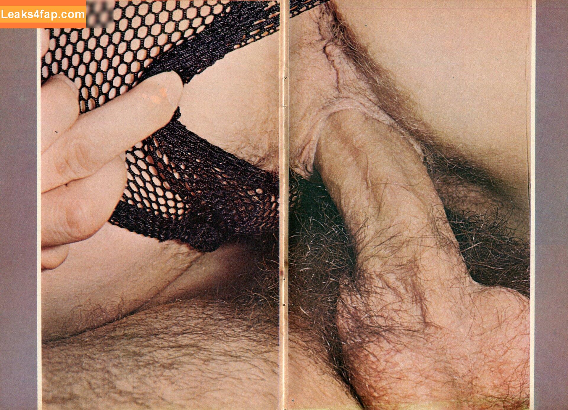 Vintage Erwachsenen Zeitschriften /  leaked photo photo #0443