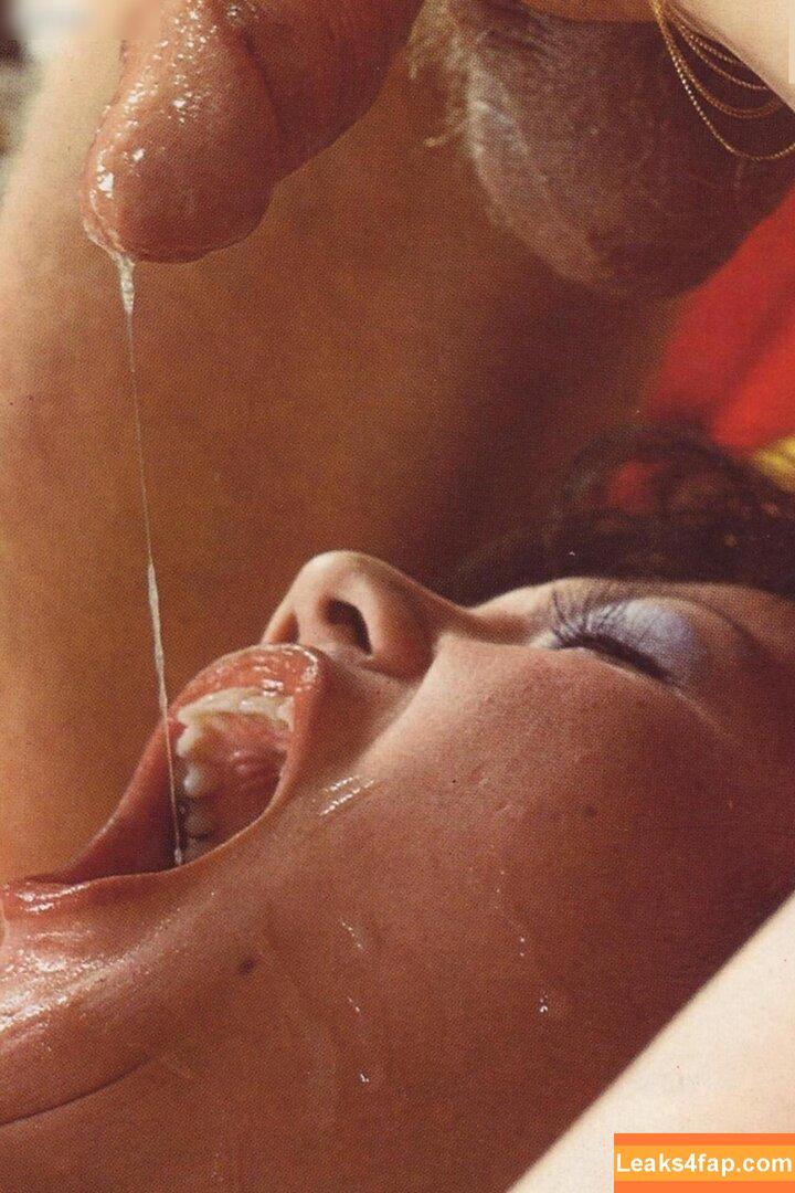 Vintage Erwachsenen Zeitschriften /  leaked photo photo #0670