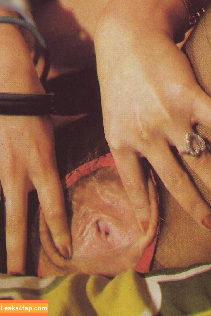 Vintage Erwachsenen Zeitschriften /  leaked photo photo #1402