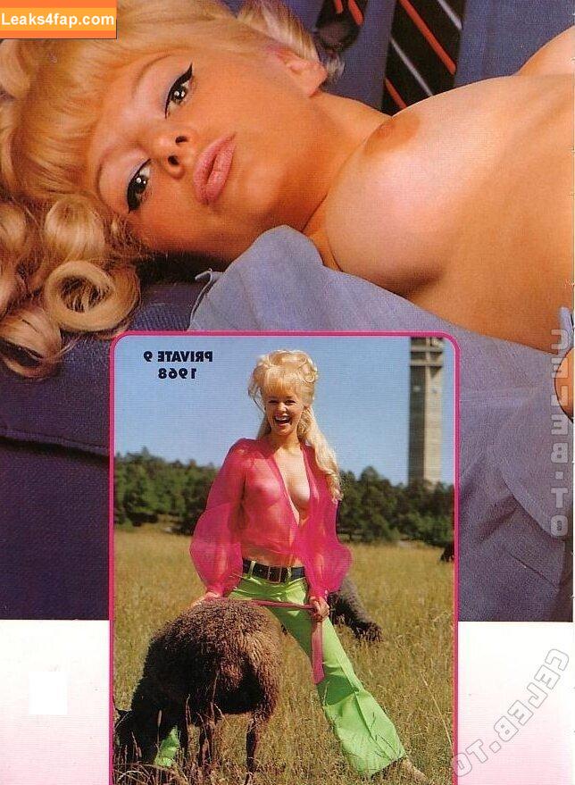 Vintage Erwachsenen Zeitschriften /  leaked photo photo #2234