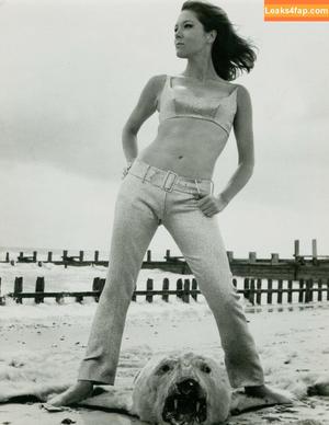 Vintage Sexy Celebs photo #0042