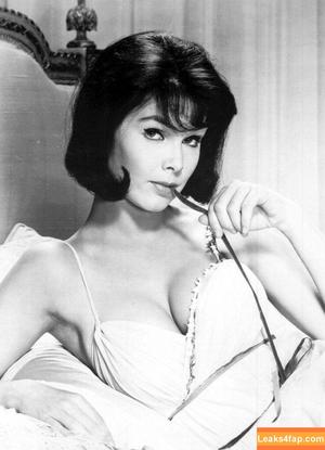 Vintage Sexy Celebs фото #0252