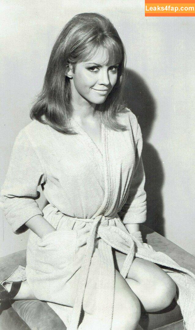 Vintage Starlets /  слитое фото фото #0287