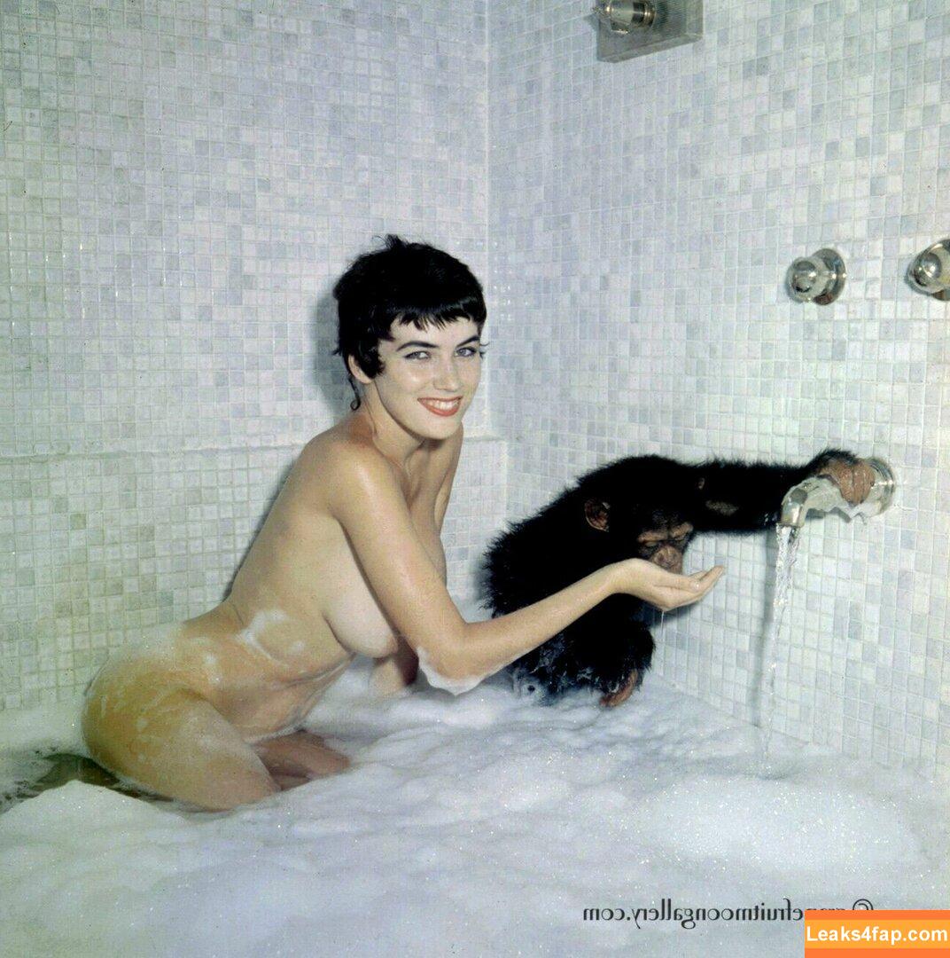 Vintage Starlets /  слитое фото фото #0509