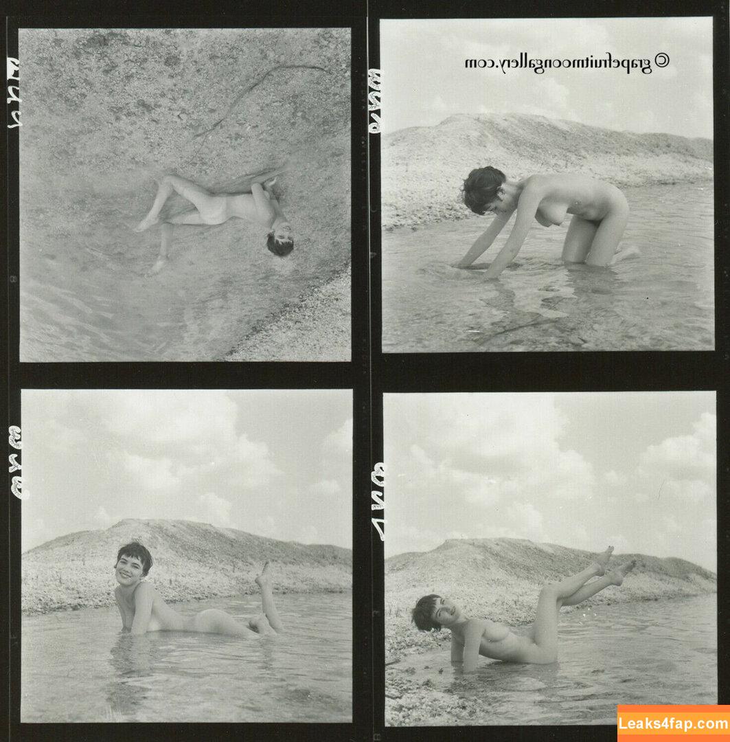 Vintage Starlets /  leaked photo photo #0517