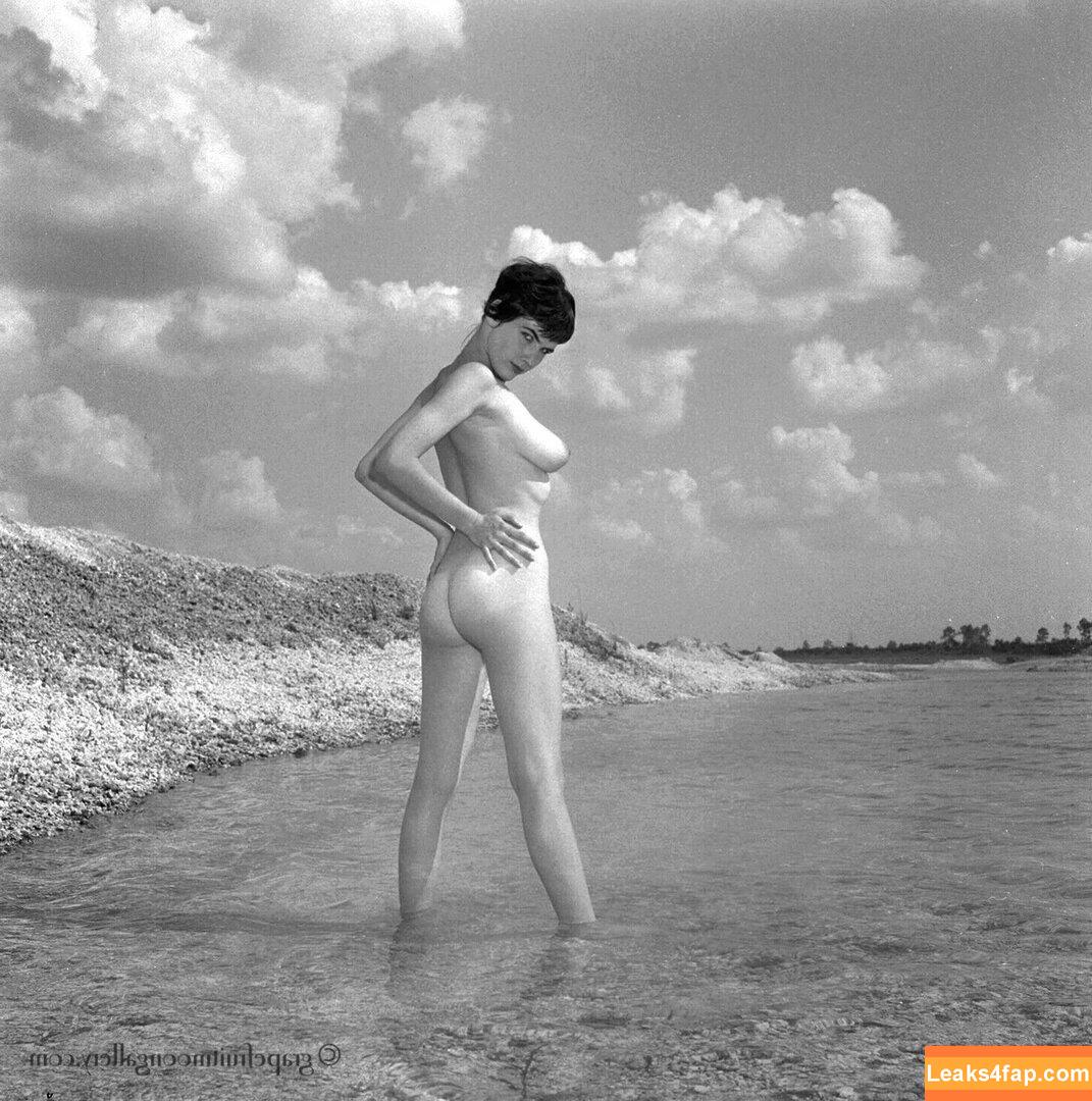 Vintage Starlets /  leaked photo photo #0519