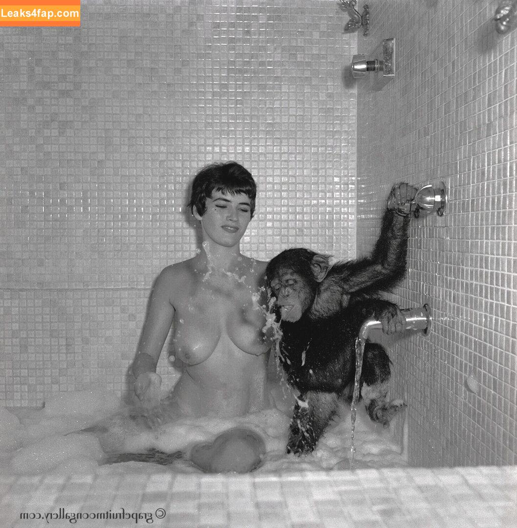 Vintage Starlets /  leaked photo photo #0524