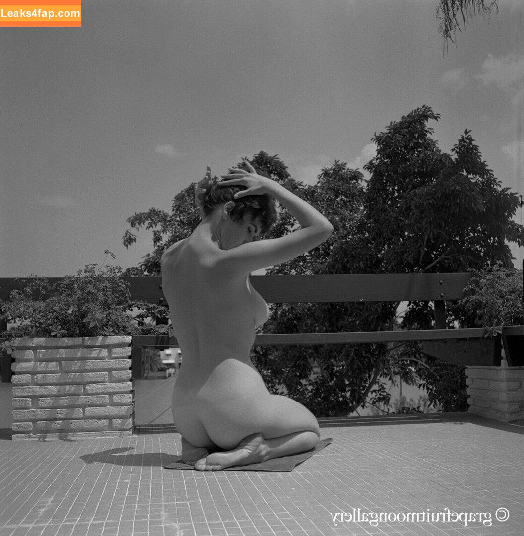 Vintage Starlets /  слитое фото фото #0526