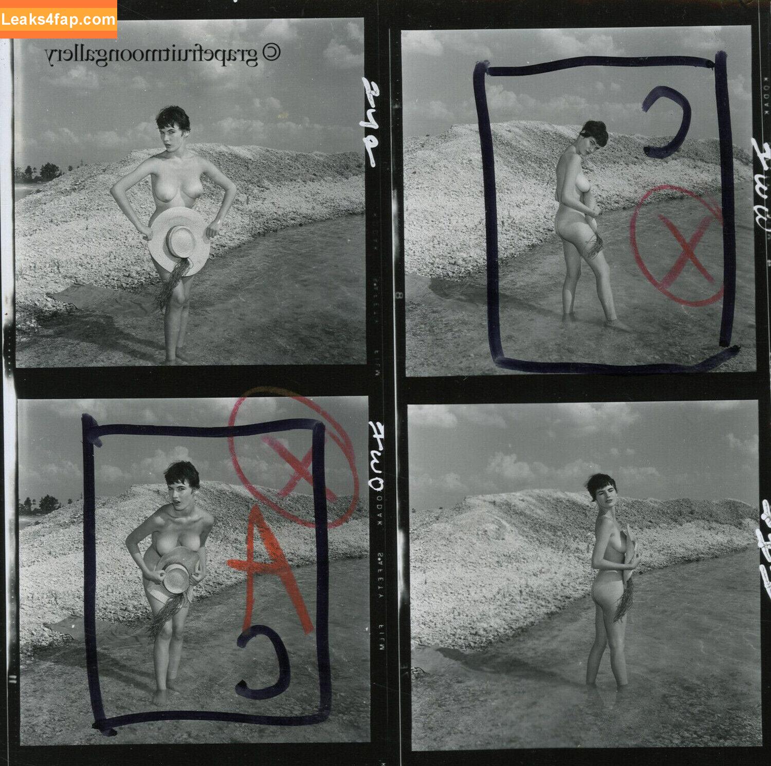 Vintage Starlets /  leaked photo photo #0527