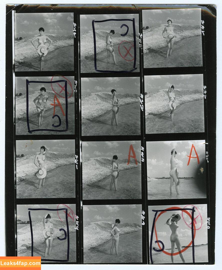 Vintage Starlets /  leaked photo photo #0528