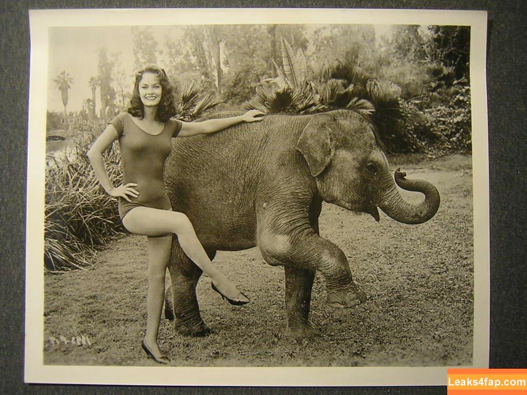 Vintage Starlets /  leaked photo photo #0897