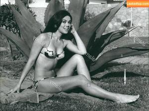 Vintage Starlets photo #0731