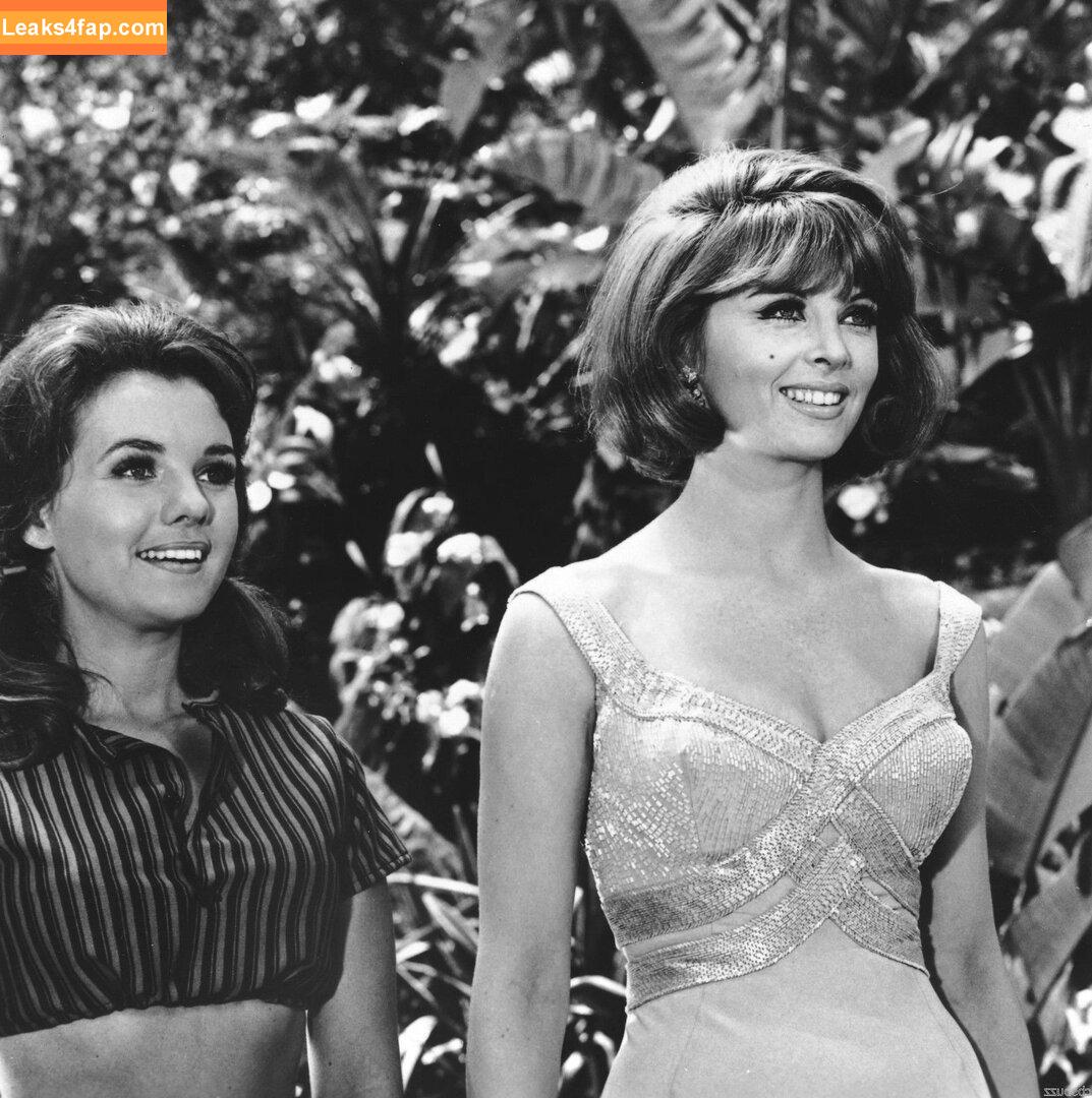 Vintage Starlets /  leaked photo photo #1069