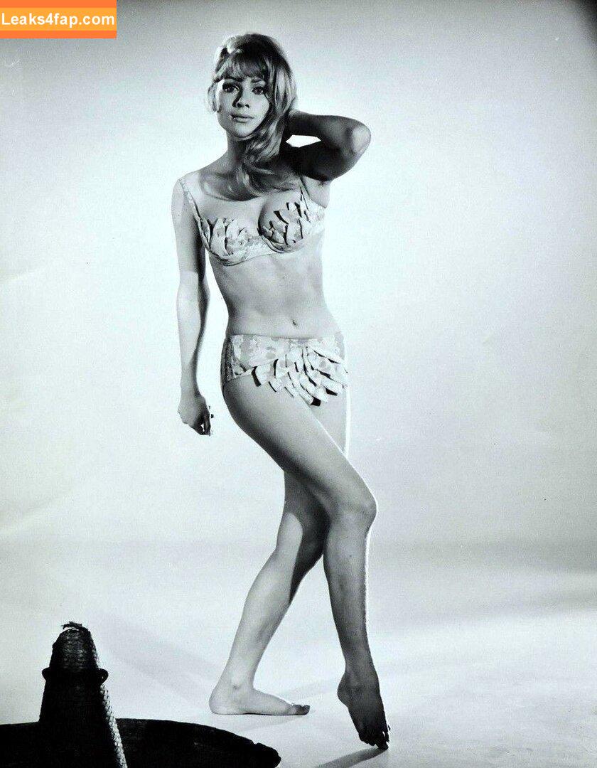 Vintage Starlets /  leaked photo photo #1537