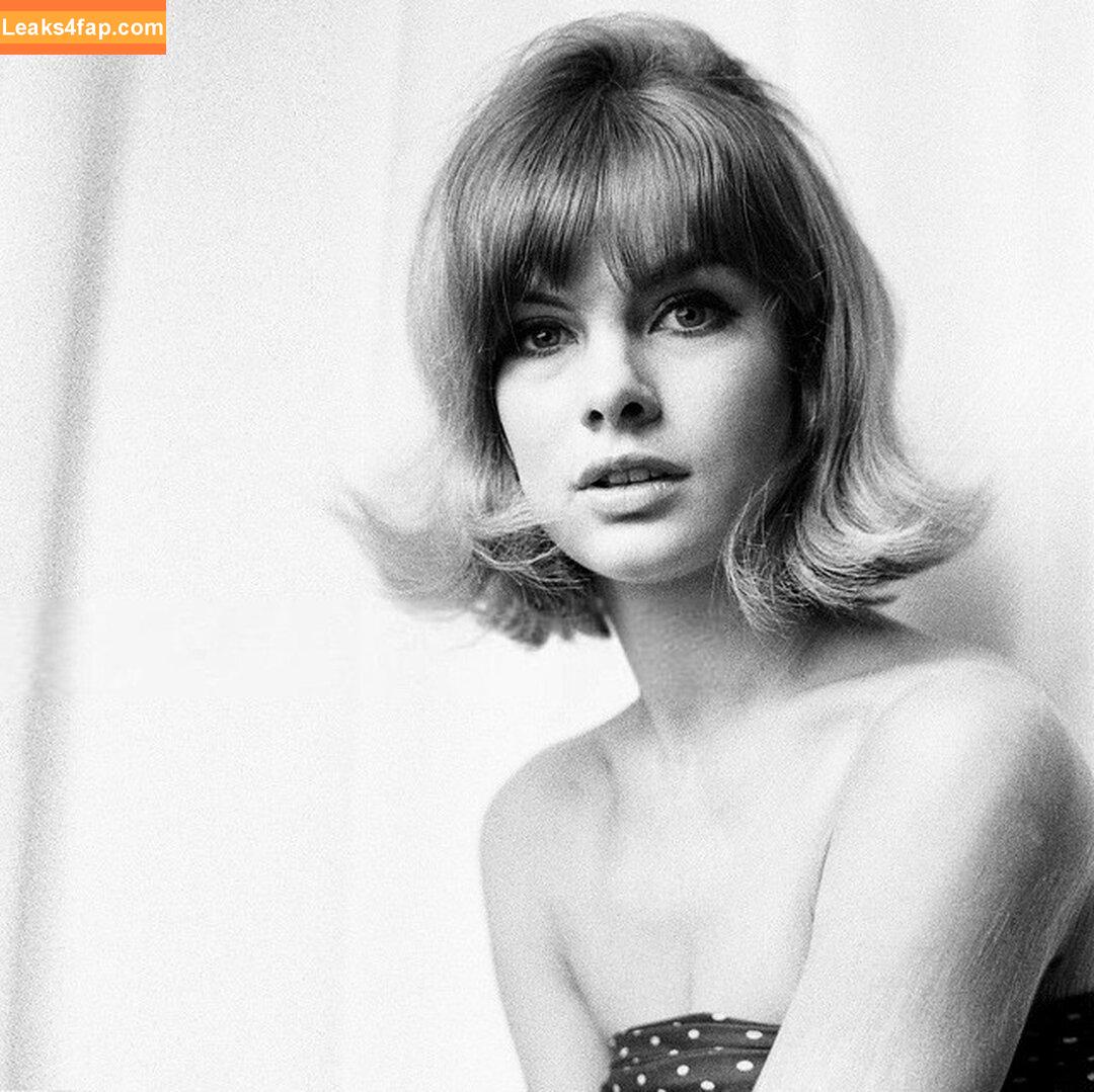 Vintage Starlets /  leaked photo photo #1648