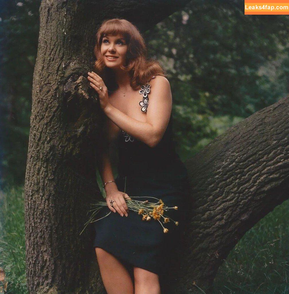 Vintage Starlets /  leaked photo photo #1850