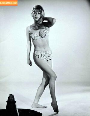 Vintage Starlets photo #1537