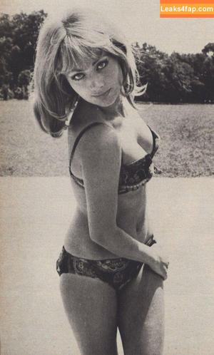 Vintage Starlets photo #1549