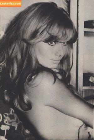 Vintage Starlets photo #1553