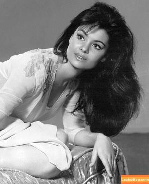 Vintage Starlets photo #1724