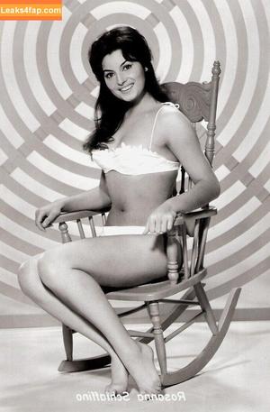 Vintage Starlets photo #1739