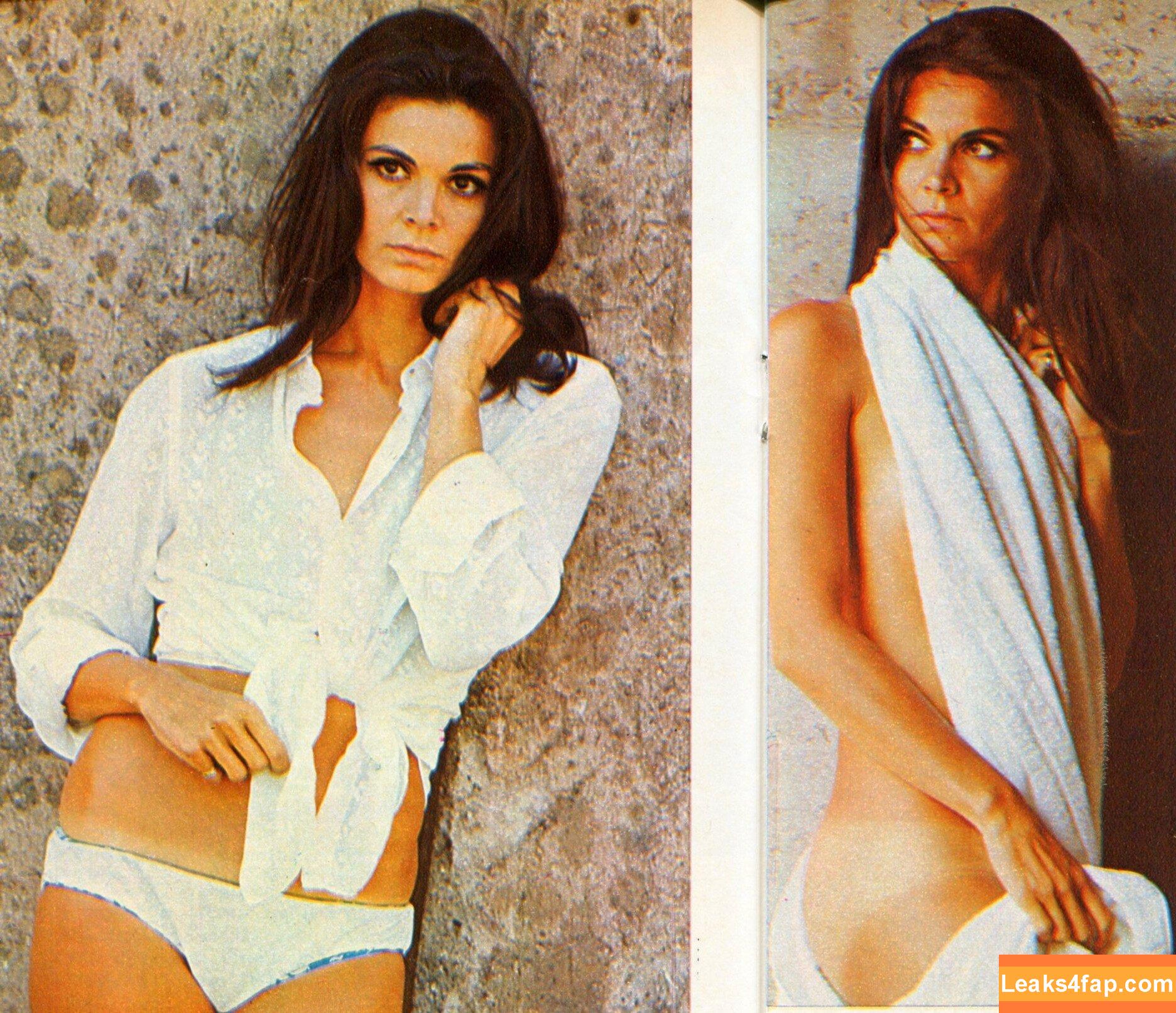 Vintage Starlets / vintagehollywoodstars слитое фото фото #2136