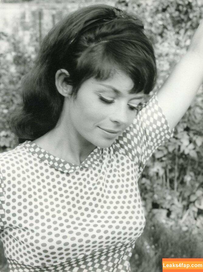 Vintage Starlets / vintagehollywoodstars leaked photo photo #2170